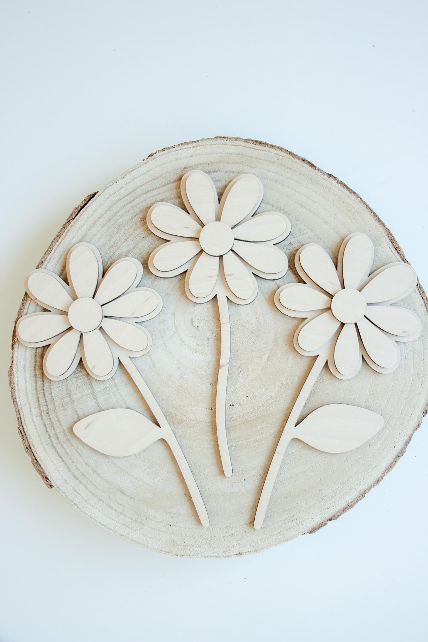 Laser & Gravure | Schilderbox DIY " Bloemenpracht "